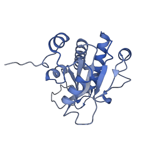 3552_5mre_d_v1-3
Structure of the yeast mitochondrial ribosome - Class B