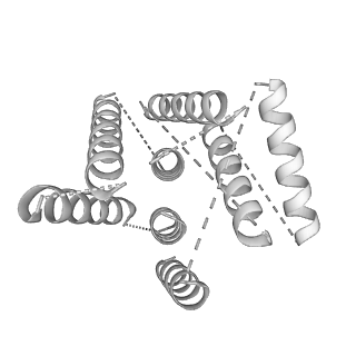 3552_5mre_dd_v1-3
Structure of the yeast mitochondrial ribosome - Class B