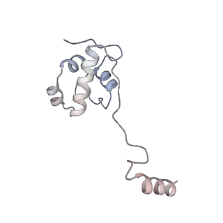 3553_5mrf_22_v1-3
Structure of the yeast mitochondrial ribosome - Class C