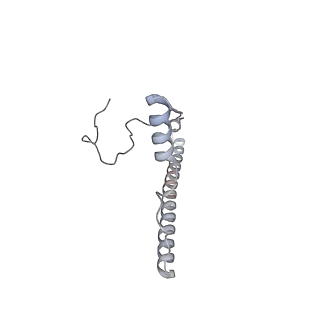 3553_5mrf_2_v1-3
Structure of the yeast mitochondrial ribosome - Class C