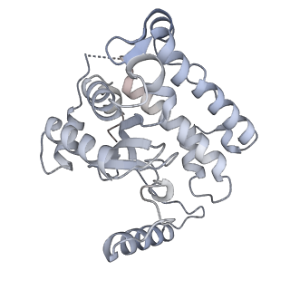 3553_5mrf_33_v1-3
Structure of the yeast mitochondrial ribosome - Class C
