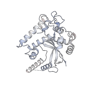 3553_5mrf_44_v1-3
Structure of the yeast mitochondrial ribosome - Class C