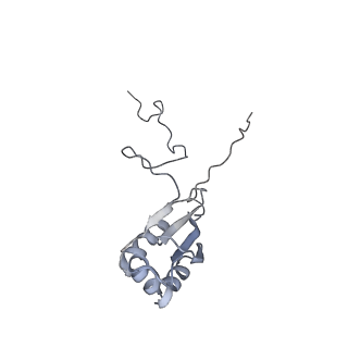 3553_5mrf_4_v1-3
Structure of the yeast mitochondrial ribosome - Class C