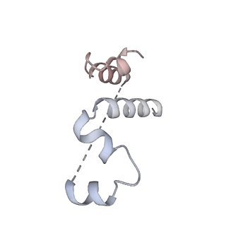 3553_5mrf_55_v1-3
Structure of the yeast mitochondrial ribosome - Class C