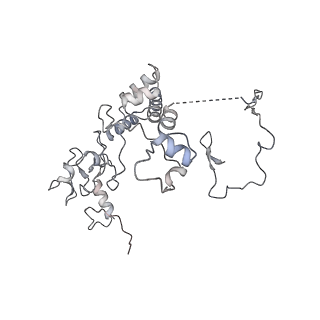 3553_5mrf_66_v1-3
Structure of the yeast mitochondrial ribosome - Class C