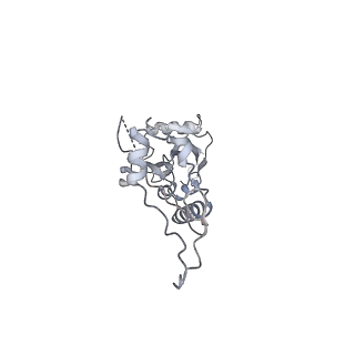 3553_5mrf_6_v1-3
Structure of the yeast mitochondrial ribosome - Class C
