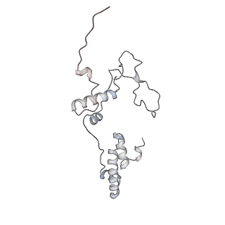3553_5mrf_77_v1-3
Structure of the yeast mitochondrial ribosome - Class C