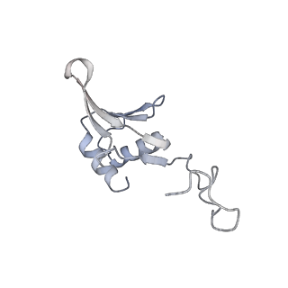 3553_5mrf_7_v1-3
Structure of the yeast mitochondrial ribosome - Class C