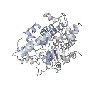 3553_5mrf_88_v1-3
Structure of the yeast mitochondrial ribosome - Class C
