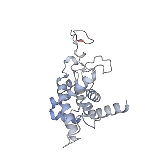 3553_5mrf_9_v1-3
Structure of the yeast mitochondrial ribosome - Class C