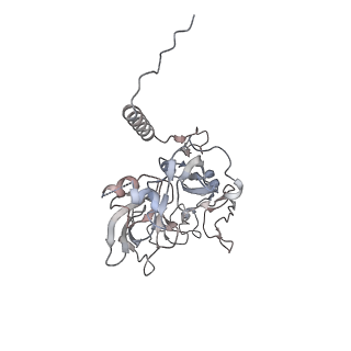 3553_5mrf_B_v1-3
Structure of the yeast mitochondrial ribosome - Class C