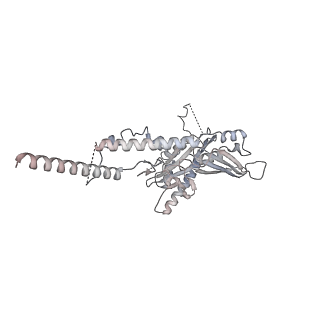 3553_5mrf_CC_v1-3
Structure of the yeast mitochondrial ribosome - Class C