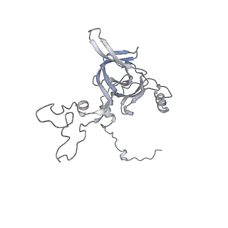 3553_5mrf_C_v1-3
Structure of the yeast mitochondrial ribosome - Class C