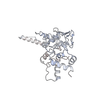 3553_5mrf_DD_v1-3
Structure of the yeast mitochondrial ribosome - Class C