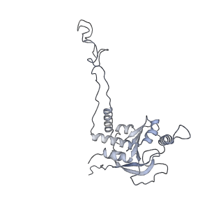 3553_5mrf_D_v1-3
Structure of the yeast mitochondrial ribosome - Class C