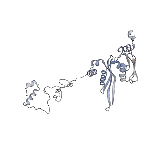 3553_5mrf_EE_v1-3
Structure of the yeast mitochondrial ribosome - Class C