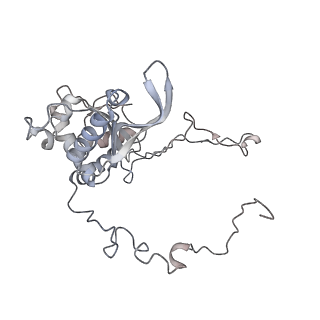 3553_5mrf_E_v1-3
Structure of the yeast mitochondrial ribosome - Class C