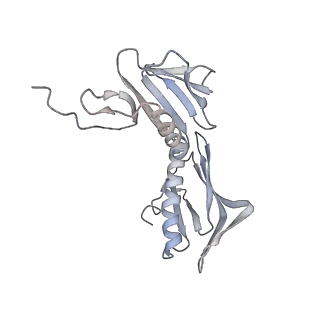 3553_5mrf_F_v1-3
Structure of the yeast mitochondrial ribosome - Class C