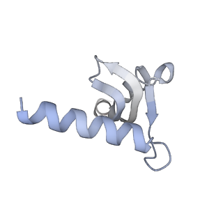 3553_5mrf_G_v1-3
Structure of the yeast mitochondrial ribosome - Class C