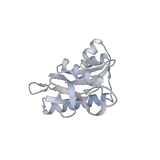 3553_5mrf_HH_v1-3
Structure of the yeast mitochondrial ribosome - Class C