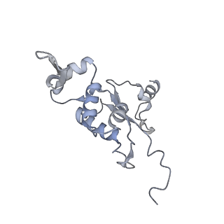 3553_5mrf_H_v1-3
Structure of the yeast mitochondrial ribosome - Class C