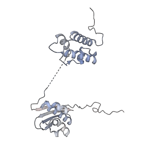 3553_5mrf_II_v1-3
Structure of the yeast mitochondrial ribosome - Class C