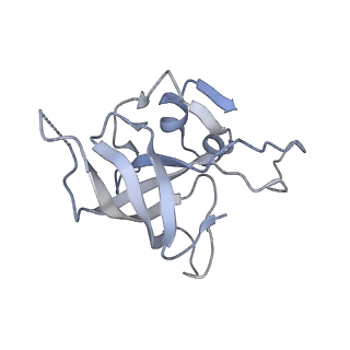 3553_5mrf_I_v1-3
Structure of the yeast mitochondrial ribosome - Class C