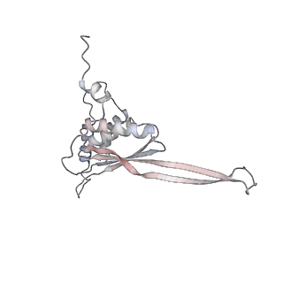 3553_5mrf_JJ_v1-3
Structure of the yeast mitochondrial ribosome - Class C