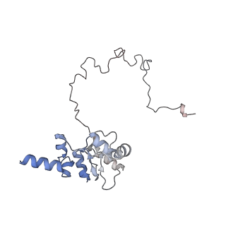 3553_5mrf_J_v1-3
Structure of the yeast mitochondrial ribosome - Class C