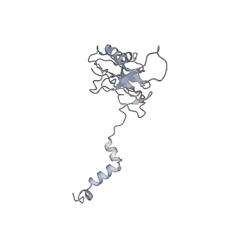 3553_5mrf_K_v1-3
Structure of the yeast mitochondrial ribosome - Class C