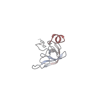 3553_5mrf_LL_v1-3
Structure of the yeast mitochondrial ribosome - Class C