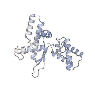 3553_5mrf_L_v1-3
Structure of the yeast mitochondrial ribosome - Class C