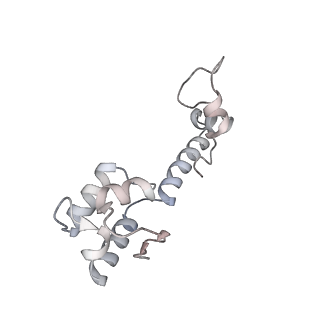 3553_5mrf_MM_v1-3
Structure of the yeast mitochondrial ribosome - Class C