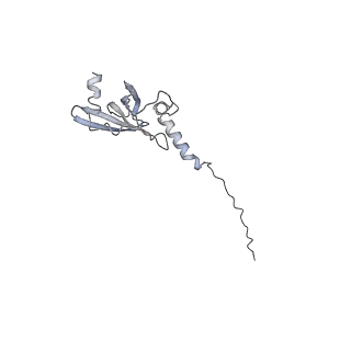 3553_5mrf_M_v1-3
Structure of the yeast mitochondrial ribosome - Class C
