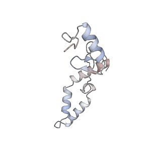 3553_5mrf_NN_v1-3
Structure of the yeast mitochondrial ribosome - Class C