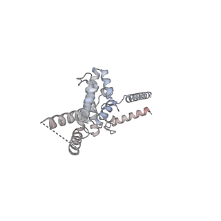 3553_5mrf_OO_v1-3
Structure of the yeast mitochondrial ribosome - Class C