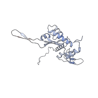 3553_5mrf_O_v1-3
Structure of the yeast mitochondrial ribosome - Class C