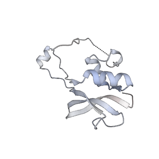 3553_5mrf_PP_v1-3
Structure of the yeast mitochondrial ribosome - Class C