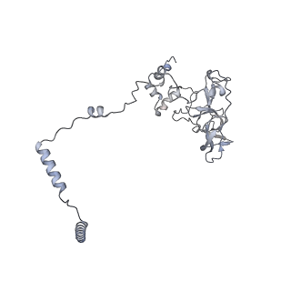 3553_5mrf_Q_v1-3
Structure of the yeast mitochondrial ribosome - Class C