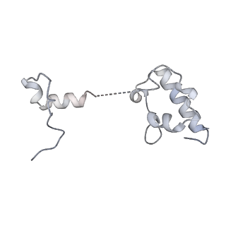 3553_5mrf_RR_v1-3
Structure of the yeast mitochondrial ribosome - Class C