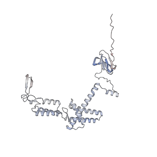 3553_5mrf_R_v1-3
Structure of the yeast mitochondrial ribosome - Class C