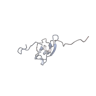 3553_5mrf_SS_v1-3
Structure of the yeast mitochondrial ribosome - Class C