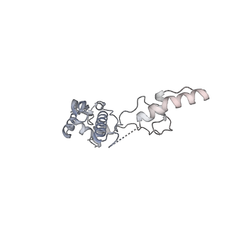 3553_5mrf_S_v1-3
Structure of the yeast mitochondrial ribosome - Class C