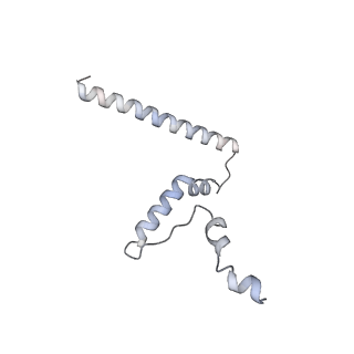 3553_5mrf_TT_v1-3
Structure of the yeast mitochondrial ribosome - Class C