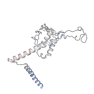 3553_5mrf_UU_v1-3
Structure of the yeast mitochondrial ribosome - Class C