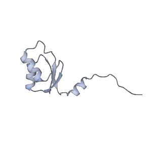 3553_5mrf_U_v1-3
Structure of the yeast mitochondrial ribosome - Class C