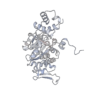 3553_5mrf_WW_v1-3
Structure of the yeast mitochondrial ribosome - Class C