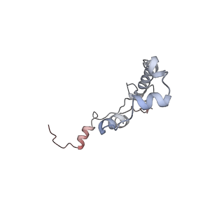 3553_5mrf_W_v1-3
Structure of the yeast mitochondrial ribosome - Class C