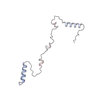 3553_5mrf_XX_v1-3
Structure of the yeast mitochondrial ribosome - Class C
