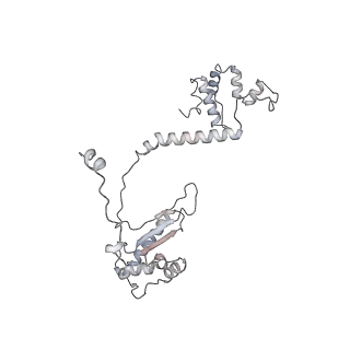 3553_5mrf_YY_v1-3
Structure of the yeast mitochondrial ribosome - Class C